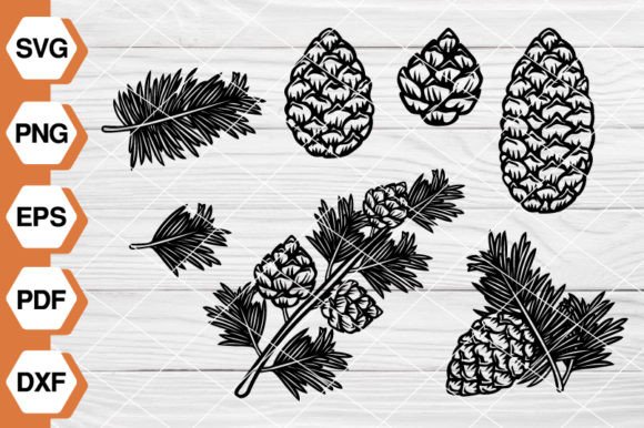 Pine Cone SVG EP-75: Editorial Graphics & Illustrations